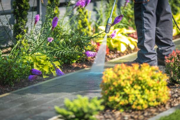 Reliable Mahnomen, MN  Pressure Washing Services Solutions