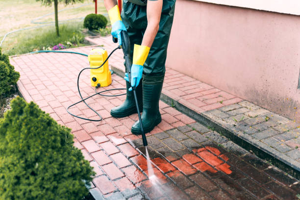 Best Patio and Deck Pressure Washing  in Mahnomen, MN