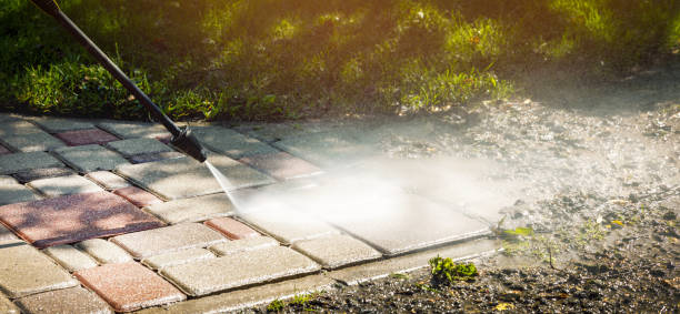 Best Spring Cleaning  in Mahnomen, MN