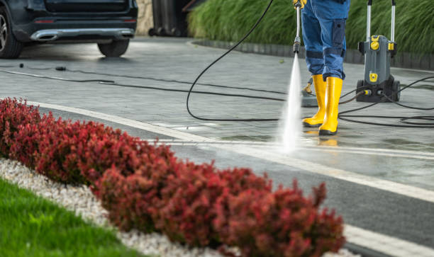Best Roof Washing  in Mahnomen, MN
